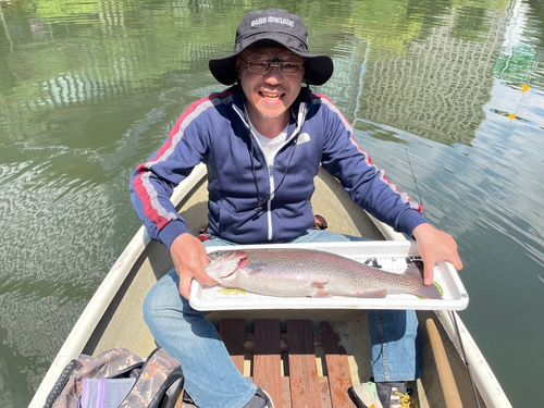 ニジマスの釣果