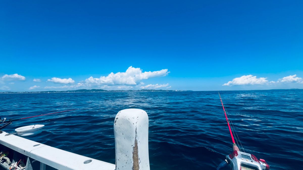 生涯釣り人ビギナーさんの釣果 3枚目の画像