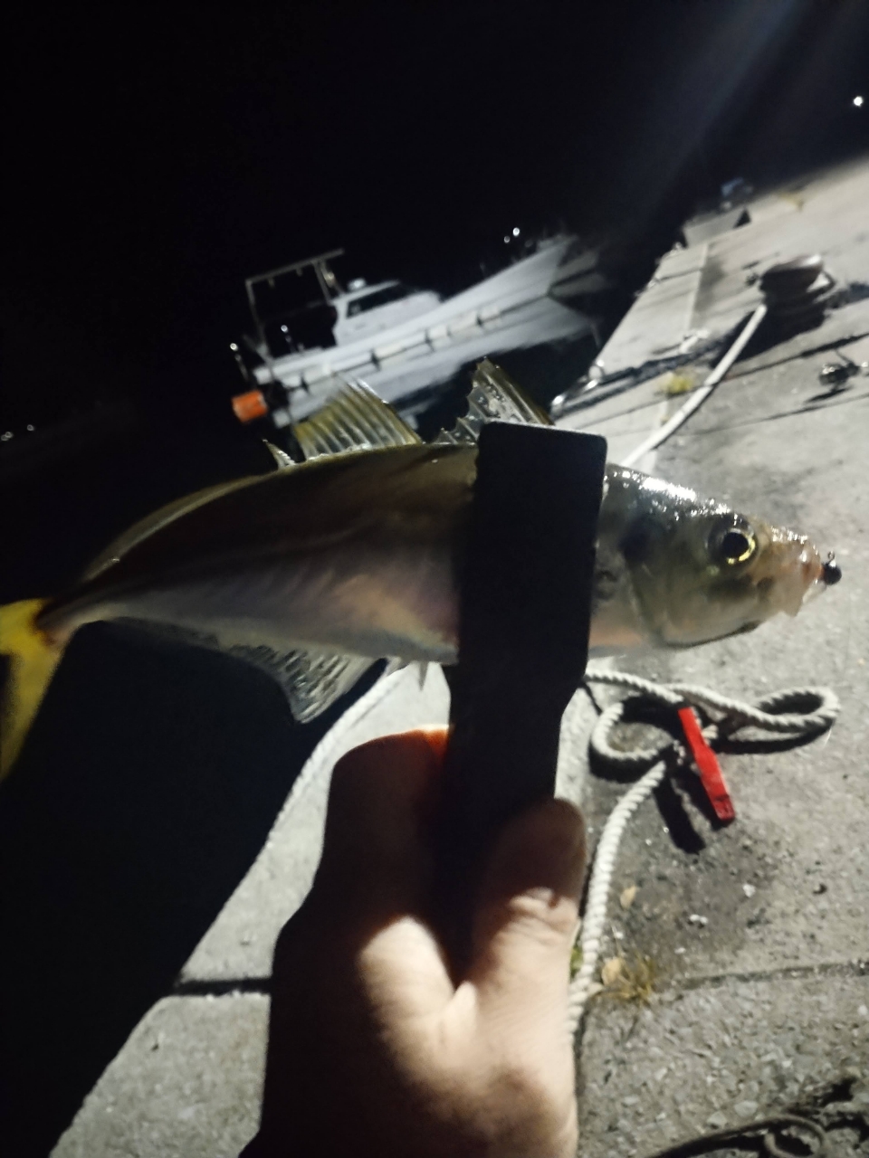 MajorCraft 鯵道 5G AD5-S682M/AJIの最安値・インプレ・釣果 MajorCraft 鯵道 5G AD5-S682M/AJIの最安値・インプレ・釣果
