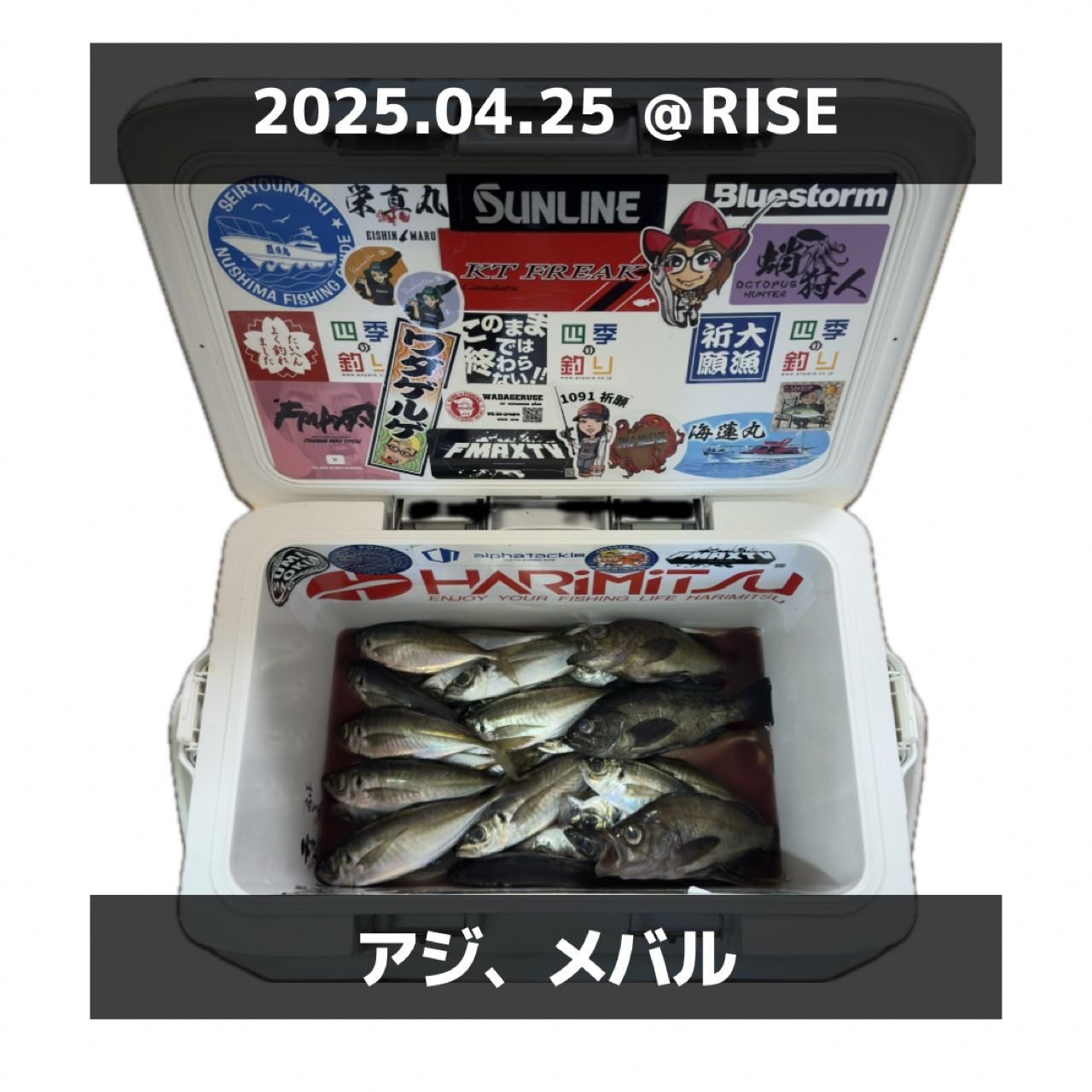 アジ