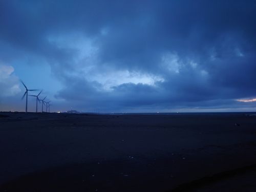 コノシロの釣果