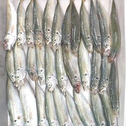 アジ