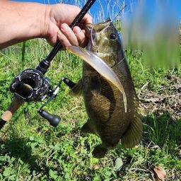 スモールマウスバス