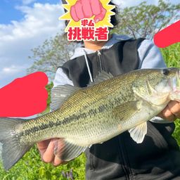 ブラックバス