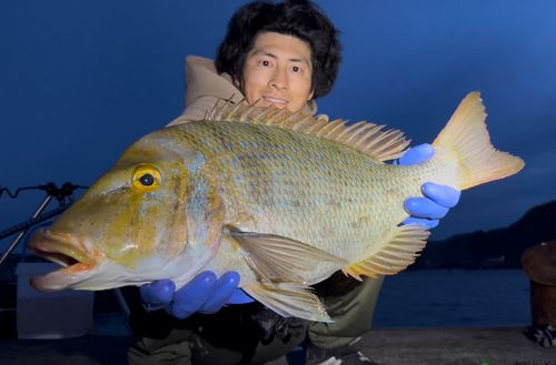 ハマフエフキの釣果
