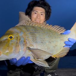 ハマフエフキ
