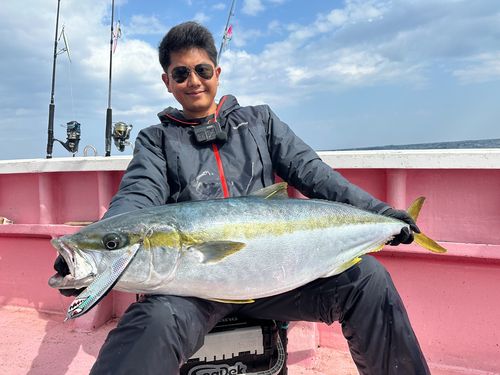 ヒラマサの釣果