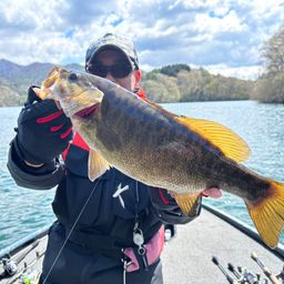 スモールマウスバス