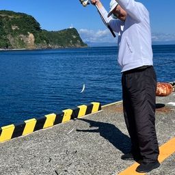 ゴマサバ