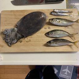 アジ
