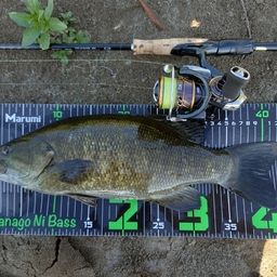 スモールマウスバス