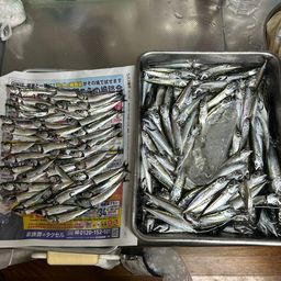 サバ