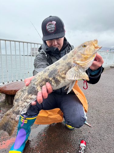 アブラコの釣果