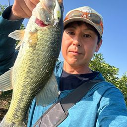 ラージマウスバス