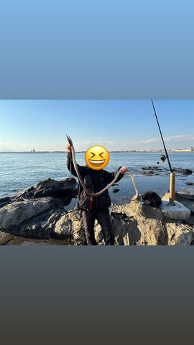ダイナンウミヘビ