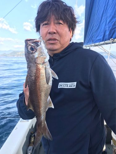 クロムツの釣果