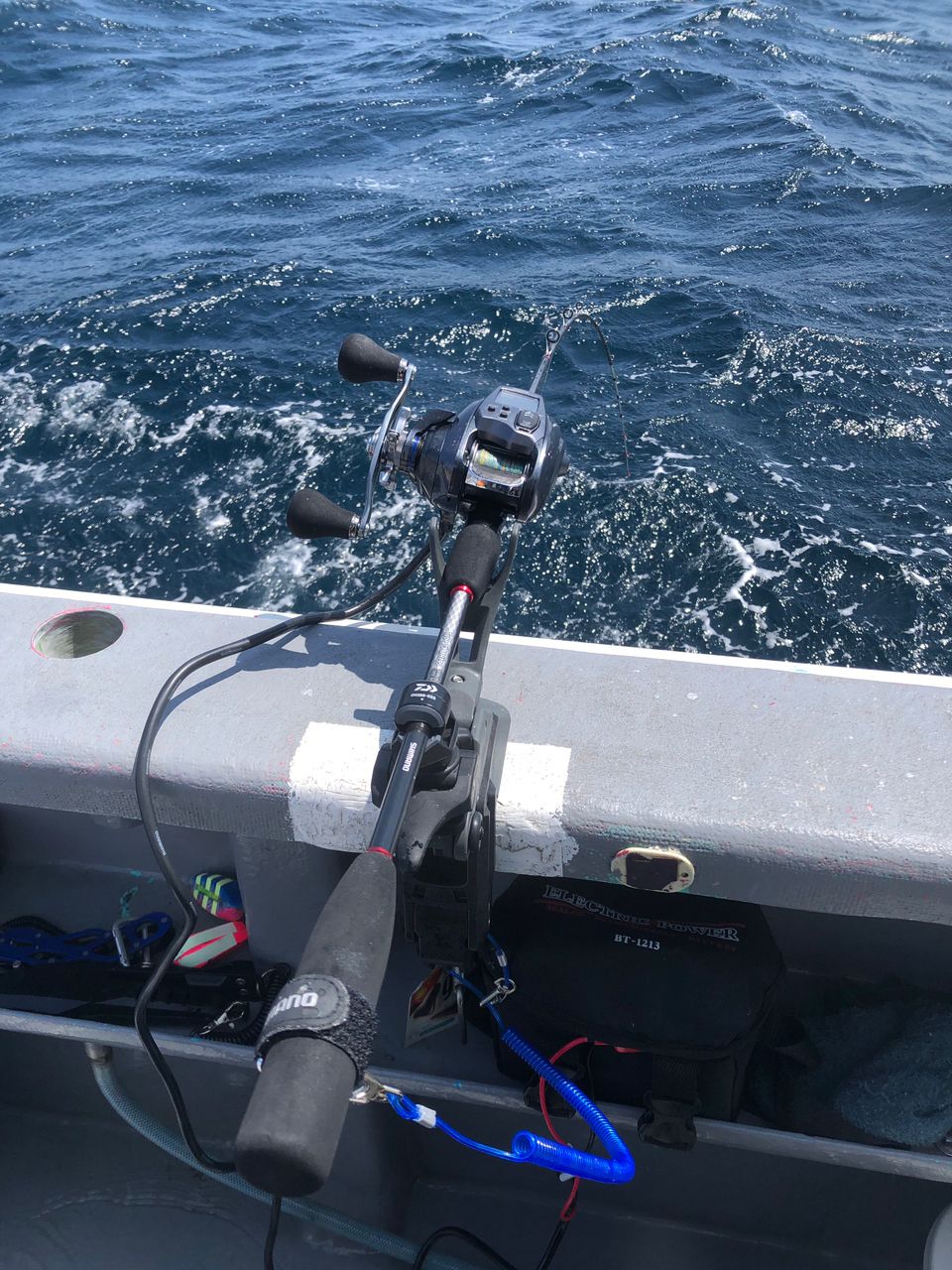 1/144さんの釣果 2枚目の画像