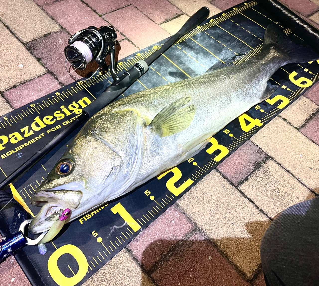 SHIMANO 23ディアルーナ S86MLの最安値・インプレ・釣果 | 本音 SHIMANO 23ディアルーナ S86MLの最安値・インプレ・釣果 | 本音