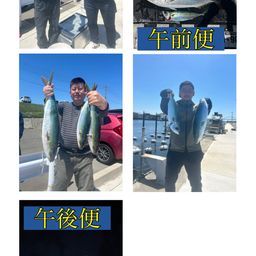 ハマチ