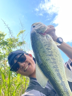 ラージマウスバスの釣果