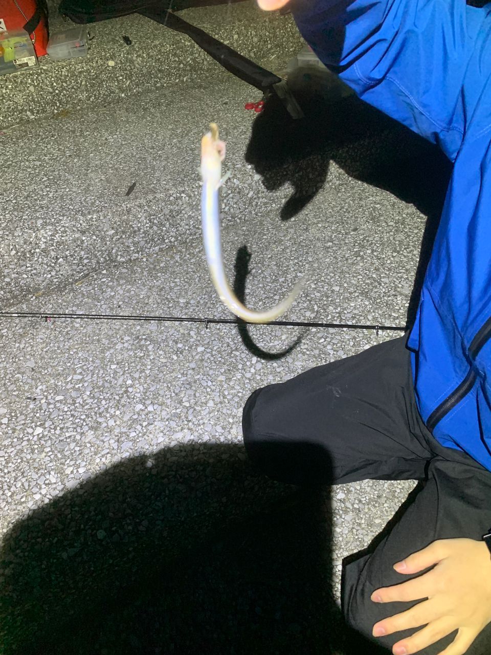 アジ