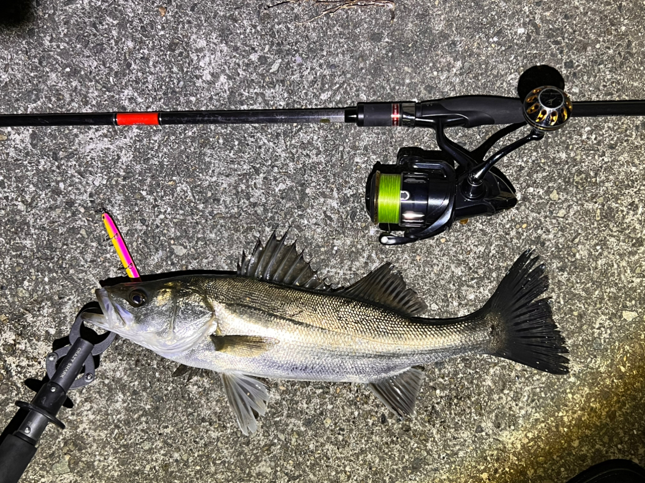 APIA 21フージン'RS 96ML+の最安値・インプレ・釣果 | 本音 APIA 21フージン'RS 96ML+の最安値・インプレ・釣果 | 本音