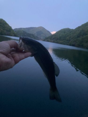 玄倉大橋