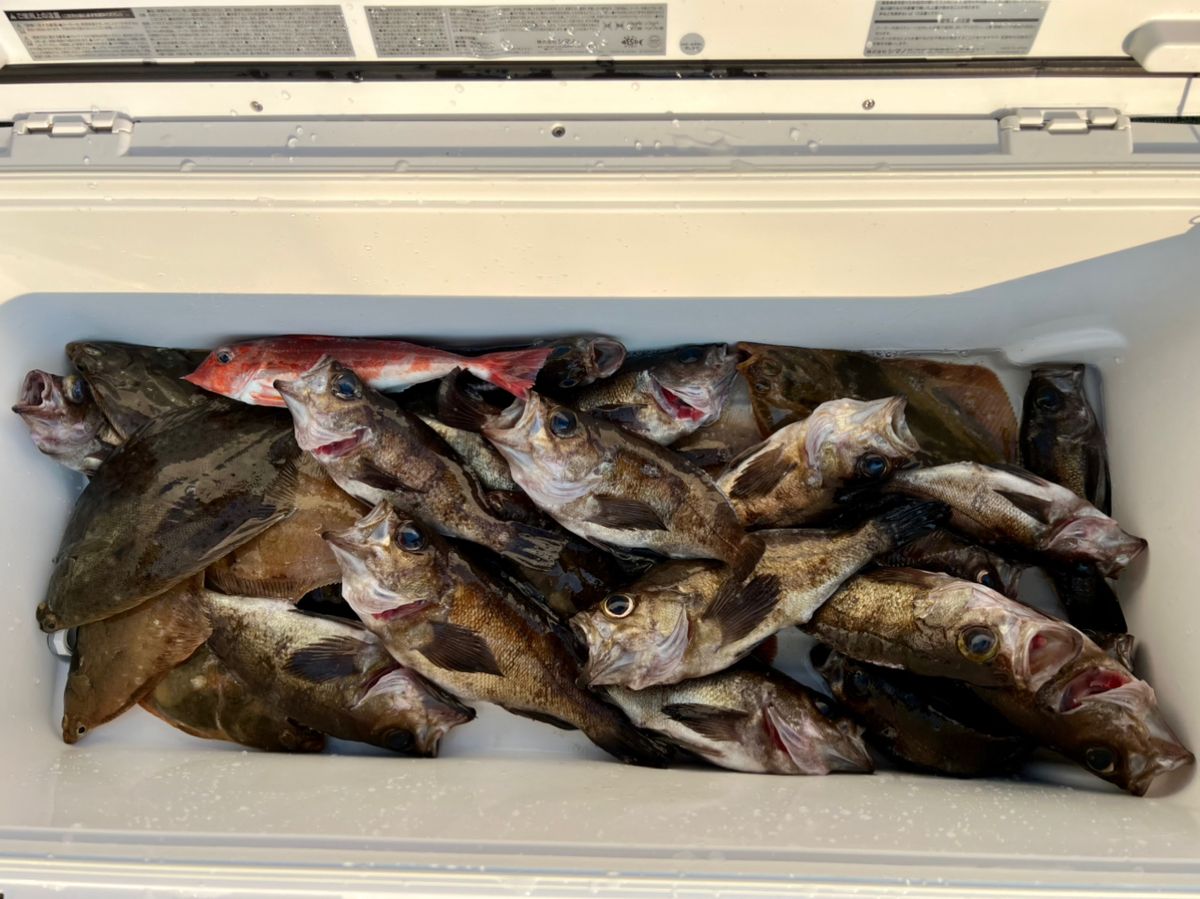 XNXAX0XKX1Xさんの釣果 2枚目の画像