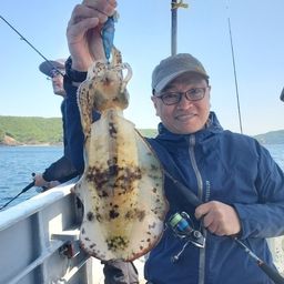 アオリイカ