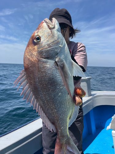 タイの釣果