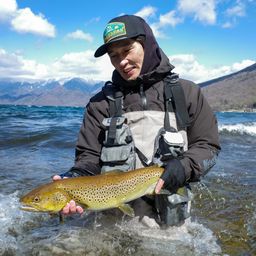 ブラウントラウト