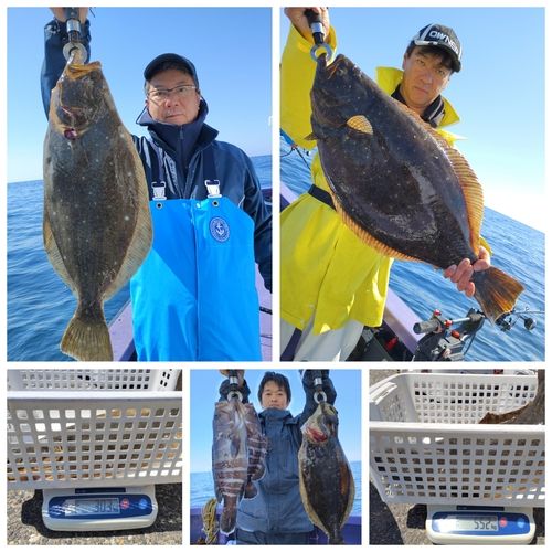ヒラメの釣果