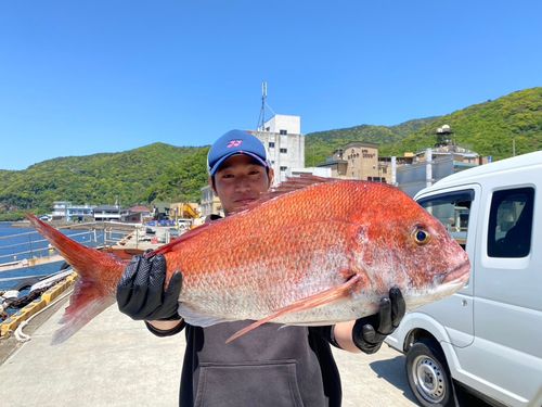 マダイの釣果