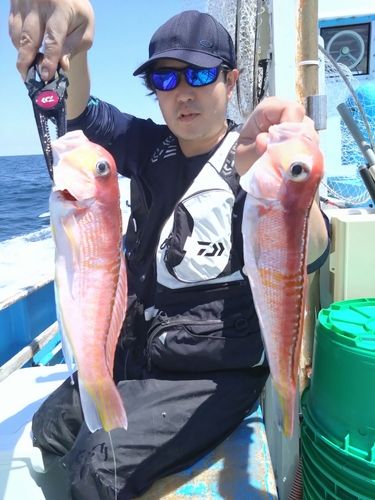 アマダイの釣果