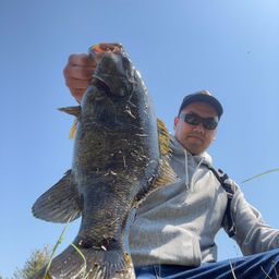 スモールマウスバス