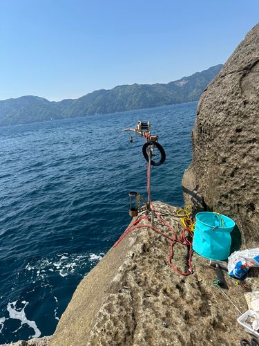 ウツボの釣果