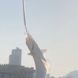エソ