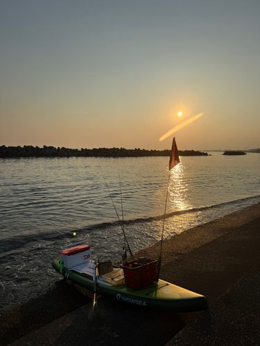 ウッカリカサゴ