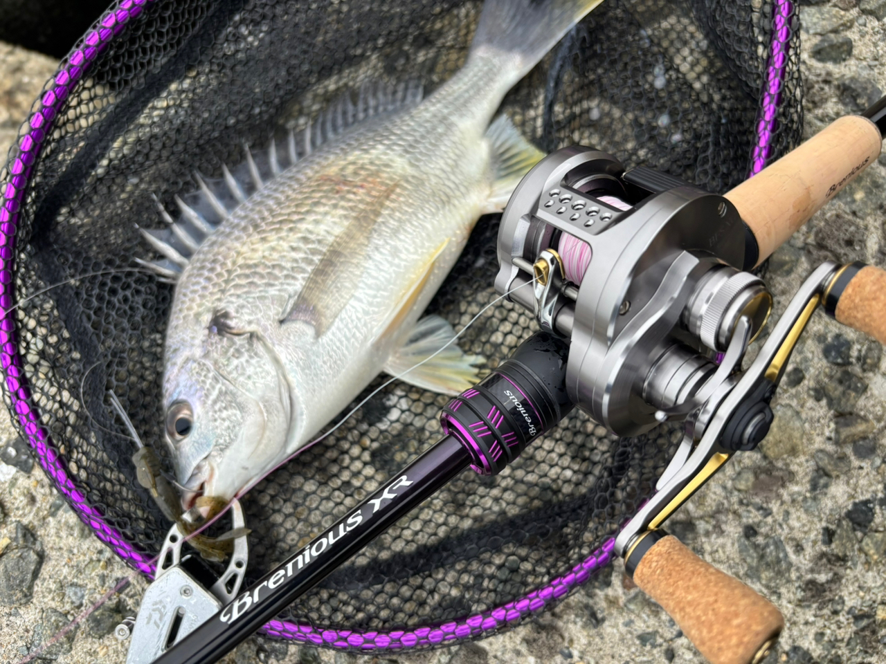 SHIMANO 23カルカッタコンクエスト BFS XG LEFTの最安値 SHIMANO 23カルカッタコンクエスト BFS XG LEFTの最安値