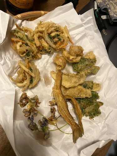 シロギスの釣果