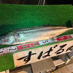 サワラ