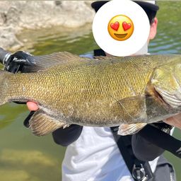 スモールマウスバス