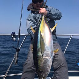 キハダマグロ