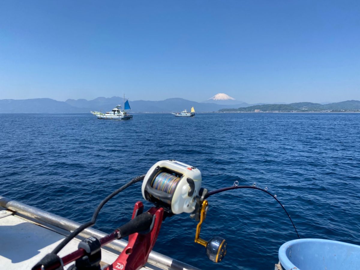 湘南のかつさんの釣果 2枚目の画像