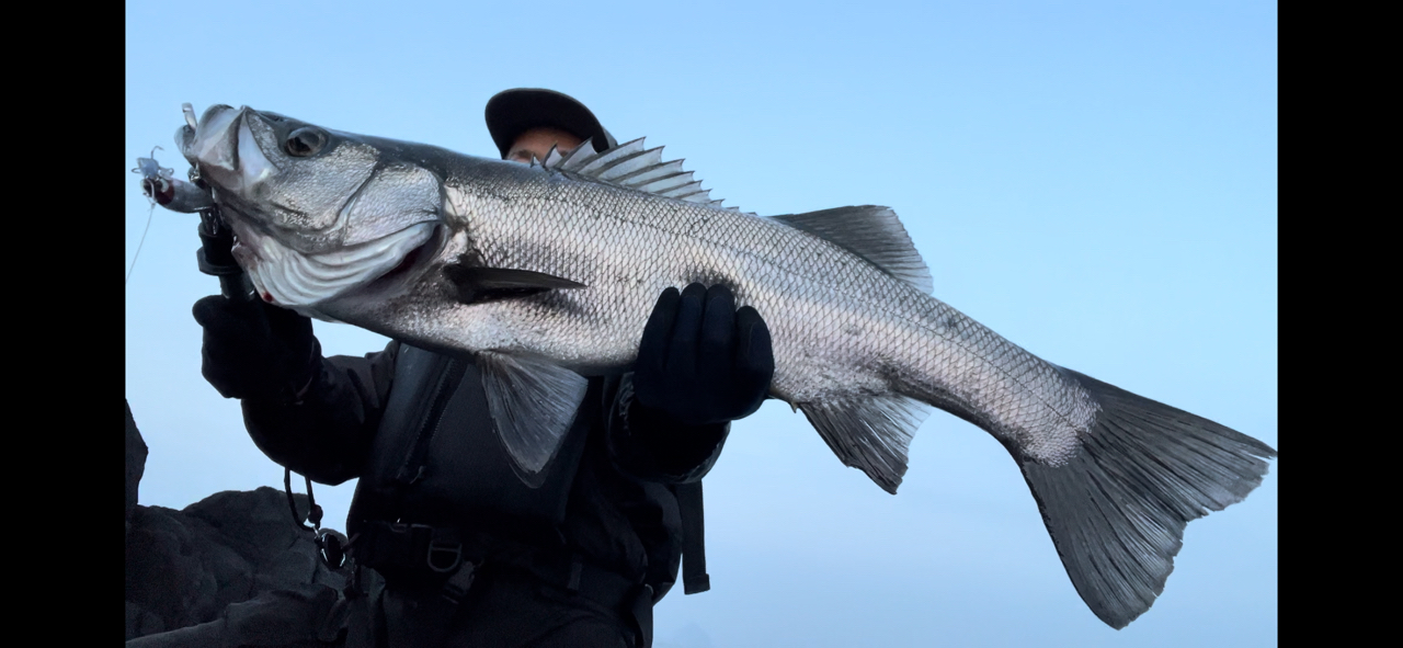APIA グランデージ アトラス BLACKFIN 102HHの最安値・インプレ
