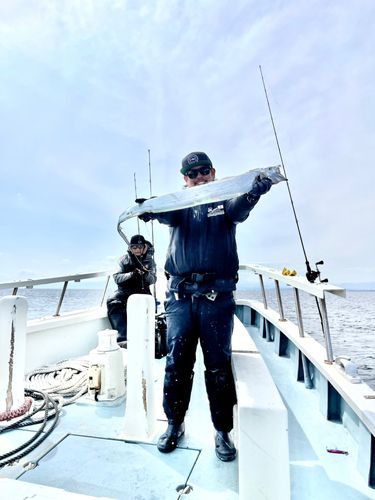 タチウオの釣果