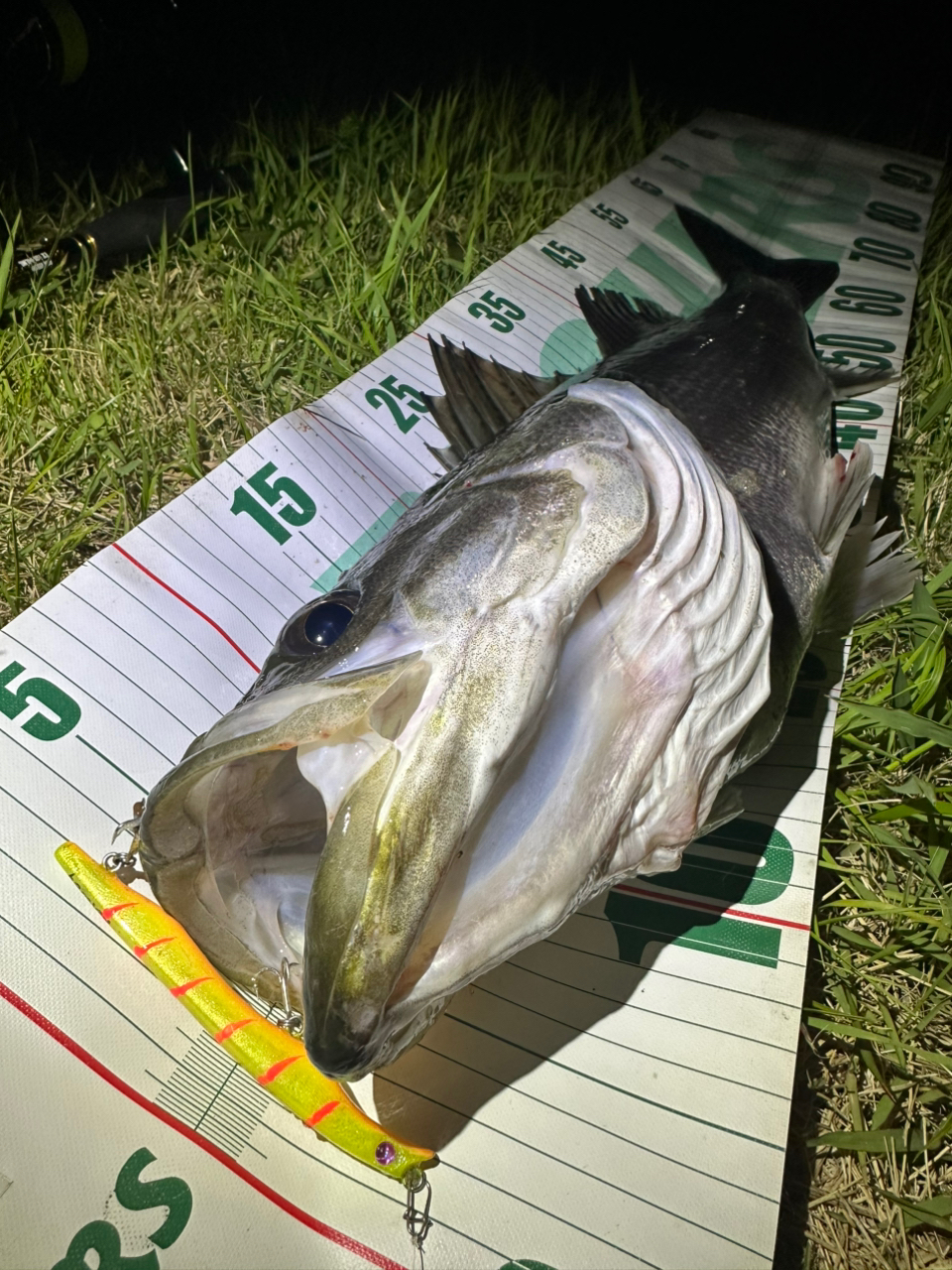 DAIWA 21モアザン ブランジーノ EX AGS 94LMLの最安値・インプレ DAIWA 21モアザン ブランジーノ EX AGS 94LMLの最安値・インプレ