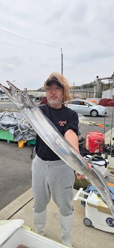 タチウオの釣果