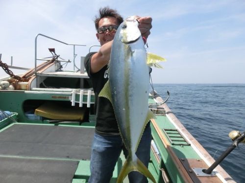 ヒラマサの釣果