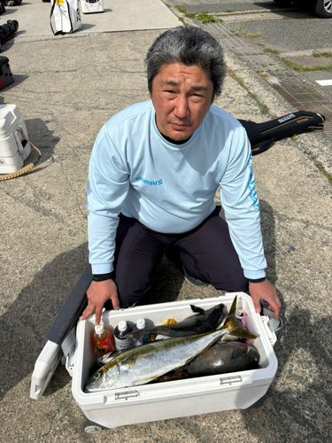 タイの釣果